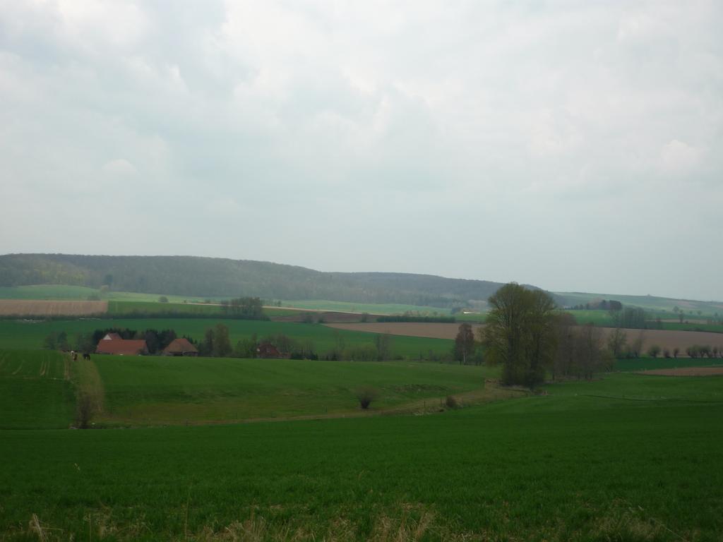 Hotel Eternahof Bad Gandersheim Zewnętrze zdjęcie