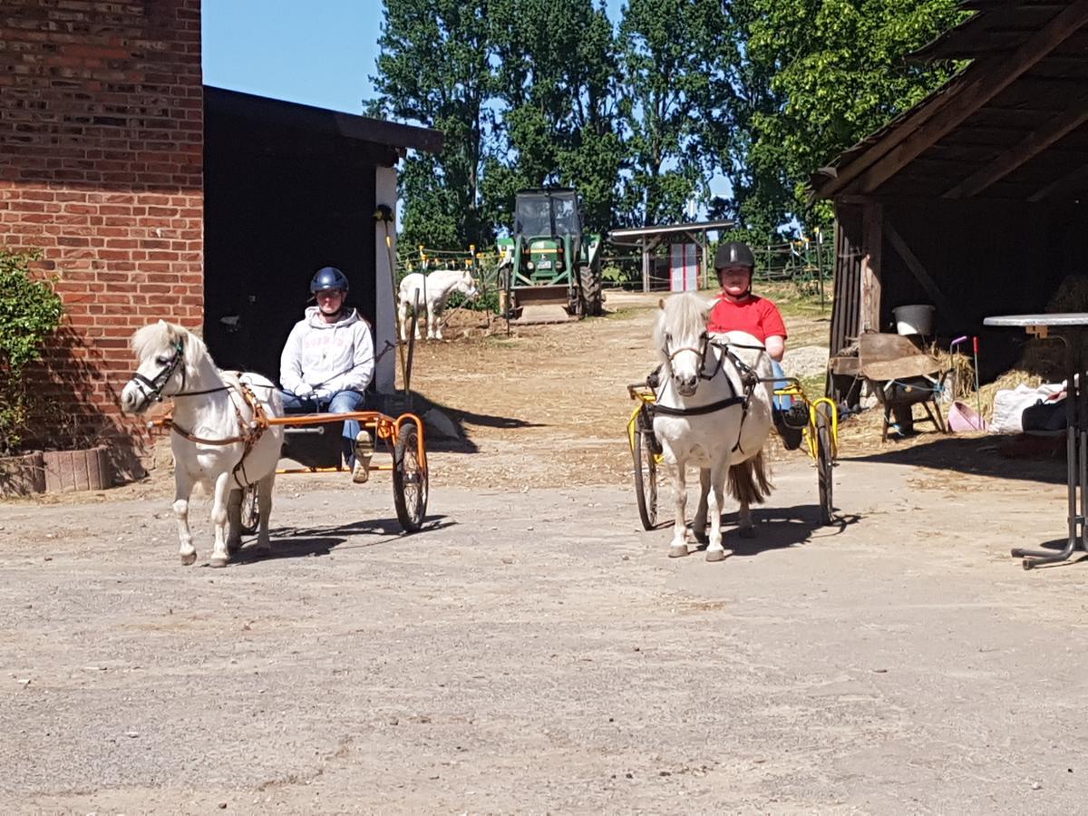 Hotel Eternahof Bad Gandersheim Zewnętrze zdjęcie