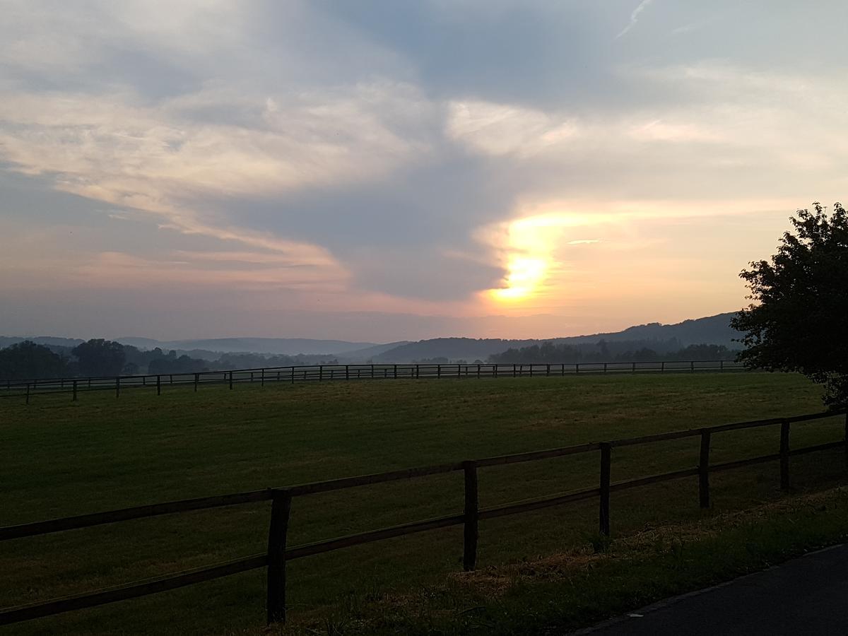 Hotel Eternahof Bad Gandersheim Zewnętrze zdjęcie